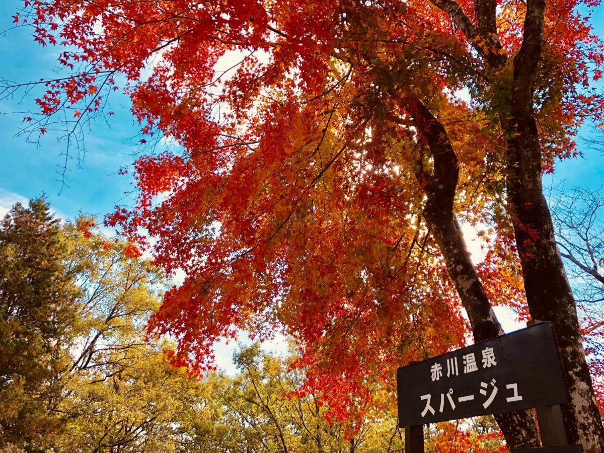 赤川温泉スパージュ-Spaju Taketa Exterior foto